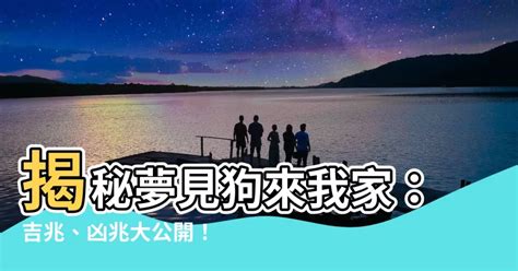 夢見狗來我家|周公解夢：夢見狗